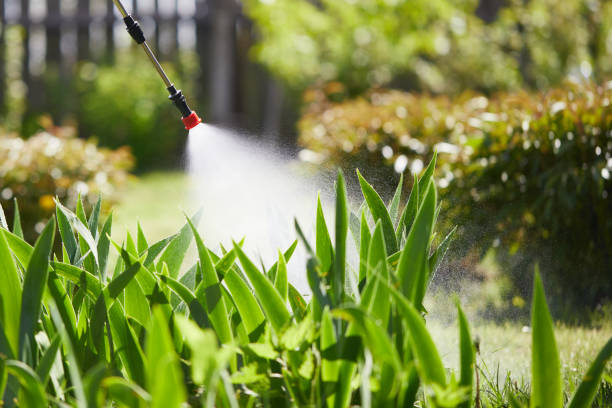 24/7 Emergency Wasp Removal experts in Canutillo, TX